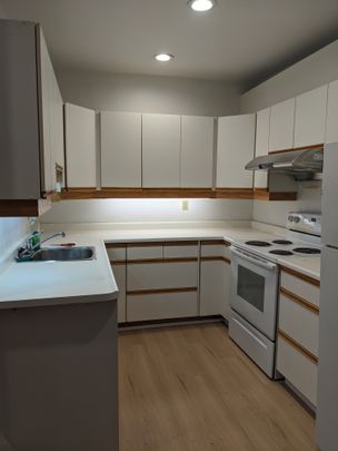 Large 1 Bedroom unit in the (Annex Area) - Photo 1