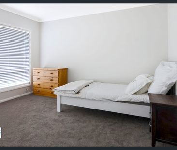 CONTEMPORARY GRANNY FLAT IN PRIME LOCATION! - Photo 6