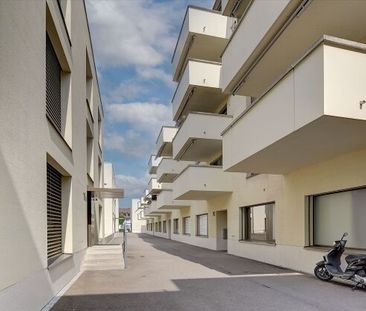 La joie de vivre commence à la maison - Foto 2