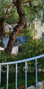 Location appartement 3 pièces 47 m² Bandol - Photo 4