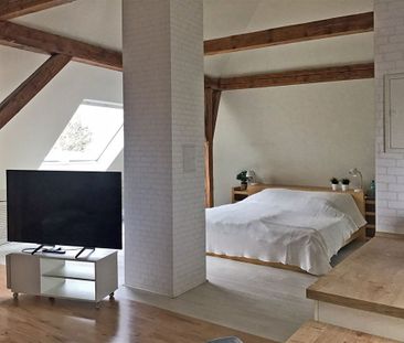 Immobilien-Richter: Möblierte Loft-Messe-Wohnung nähe Hannover - Foto 5