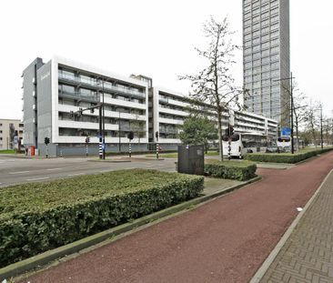 Boksdoornerf, 431 - Foto 3