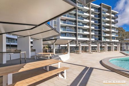 226/7 Irving Street, Phillip ACT 2606 - Apartment For Rent | Domain - Photo 3