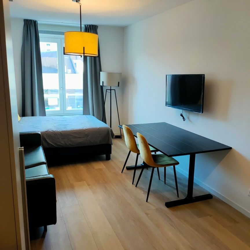 Te huur: Studio Schiedamsesingel in Rotterdam - Photo 2