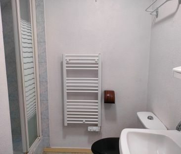 Location Appartement 1 pièce 17m² NANTES 44000 - Photo 2