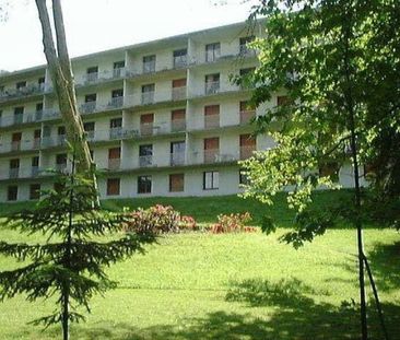 Location Appartement 1 pièce 25m² OLIVET 45160 - Photo 5