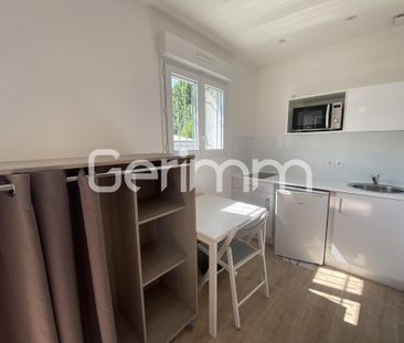 Location Appartement 1 pièce 17,99 m² - Photo 3