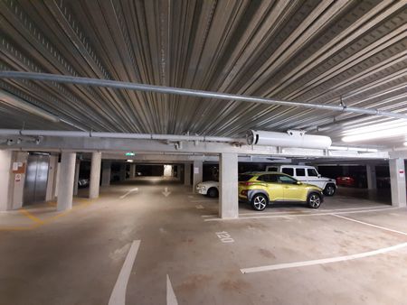 Library Lane Cutie - Photo 4