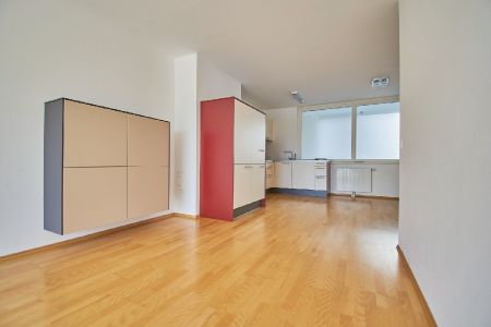 Modernes Zuhause direkt beim Augarten - Photo 4