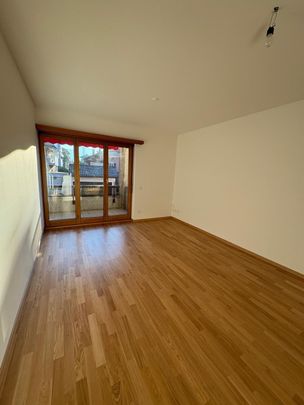 Via San Gottardo 102, 6900, Massagno - Photo 1