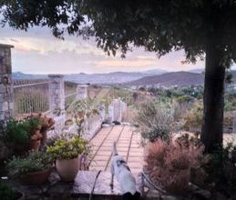 Μονοκατοικία για ενοικίαση - Πικέρμι, - Φωτογραφία 6