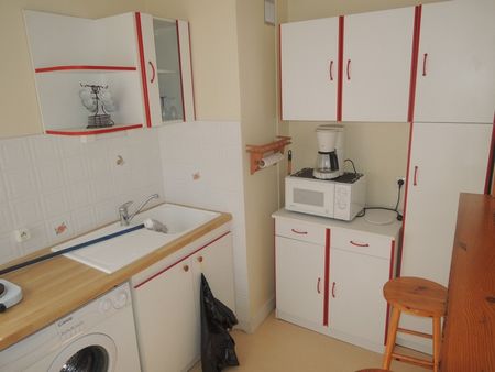 Location Appartement 1 pièce 25m² ORLEANS 45000 - Photo 3