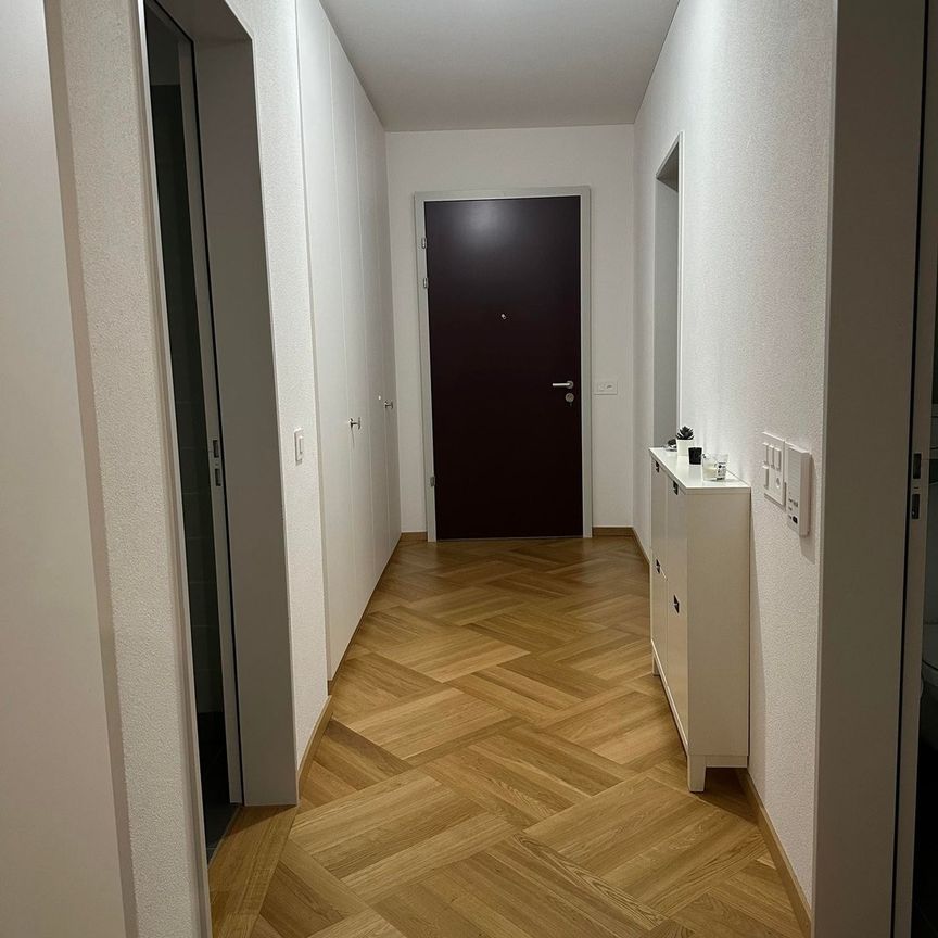 Rent a 3 ½ rooms apartment in Affoltern am Albis - Photo 1