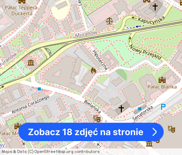 Klimatyczny lokal w przedwojennej kamienicy Nowe M - Zdjęcie 1