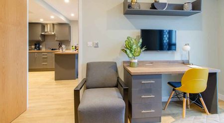 Penthouse 1 Bed Accessible Apartment - Photo 3