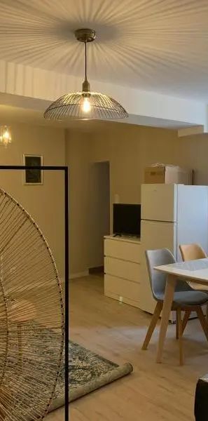 Appartement à louer 1 pièce 20.32m² - Photo 1