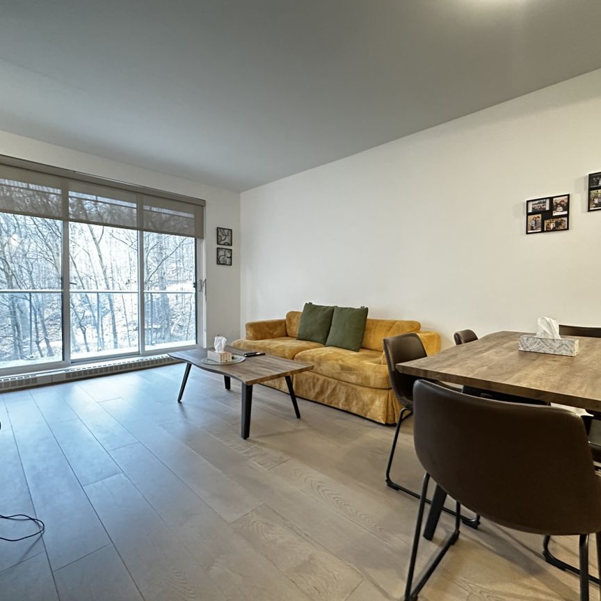 4500 Ch. de la Côte-des-Neiges, #508 - Photo 1