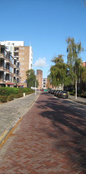 Snelliusstraat 101 - Foto 2