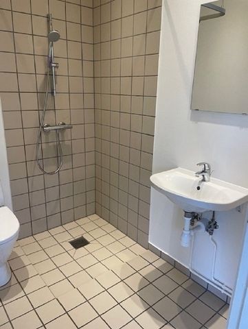 Dejlig 1-værelses lejemål i Ringe - Photo 4