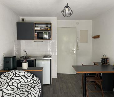 Location Appartement 1 pièce 19m² LE BOURGET DU LAC 73370 - Photo 2