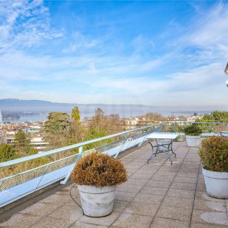 Magnifique Appartement - Genève - Photo 1