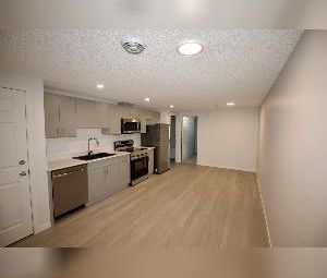 1 Bed 1 Bath BSMT Suite For Rent SW Chappelle Edmonton - Photo 3