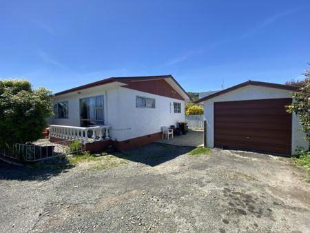 SUNNY FLAT IN TAHUNANUI - Photo 4