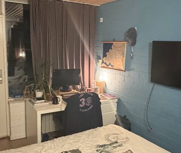 PimpelPatio - Photo 2