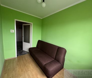 Siedlce - Zdjęcie 1