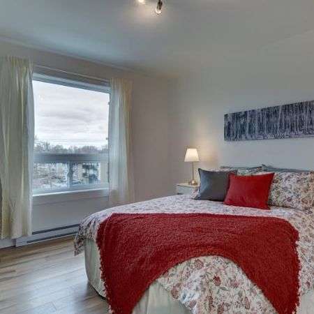 Appartement 3 ½ à louer Limoilou mars 2026 - Photo 4