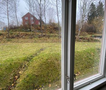 Kinadalsvägen, Bengtsfors - Foto 3