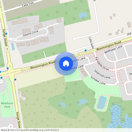 33 Calamint Lane, Richmond Hill