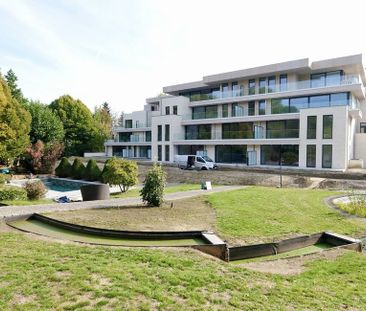 Appartement te huur in Elversele voor € 1.075 met 1 slaapkamer - Photo 4