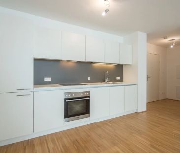 Helle, freundliche 2 Zi.-Neubauwohnung + Loggia: U4 fußläufig errei... - Photo 5