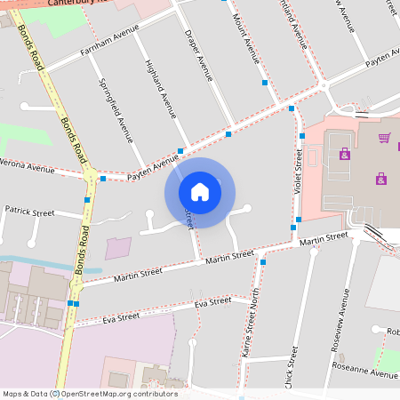 6 Daisy Street, NSW 2196, Roselands