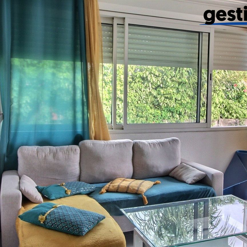 Location Appartement 2 pièces 36m² CAYENNE 97300 - Photo 1