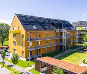 Sagogatan 1A - Foto 6