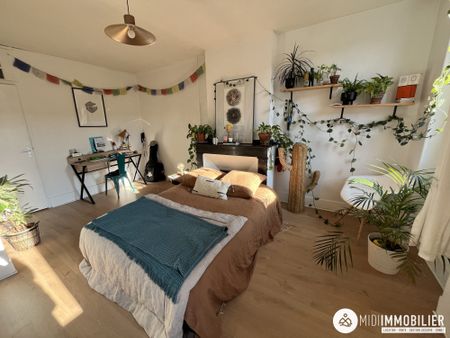 Location Appartement 2 pièces 39m² ALBI 81000 - Photo 3