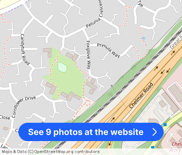 Foxglove Way, Chelmsford, CM1 6QR - Photo 1