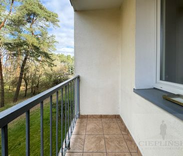 Do wynajęcia 2 pokoje, I piętro, Ul. Matejki - Фото 5