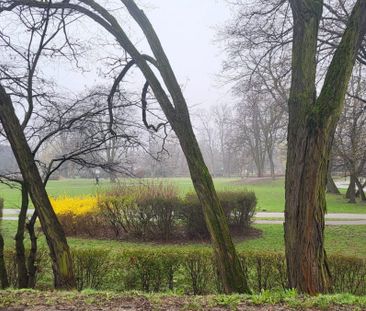 Wynajmę 3pok apart, Grodzisk Maz, Park, Mediateka - Zdjęcie 3