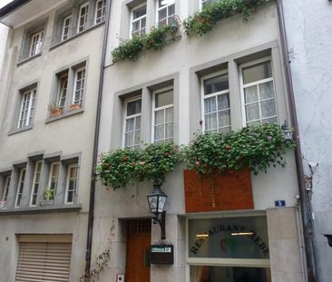 2.0 Zimmerwohnung in Schaffhausen - Foto 4