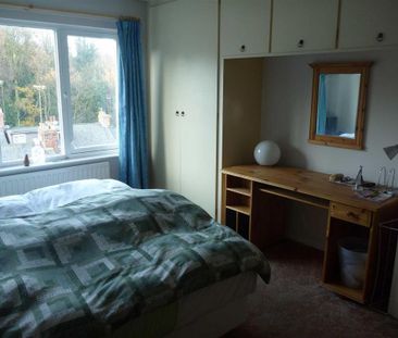 4 bedroom private hall to rent - Photo 1