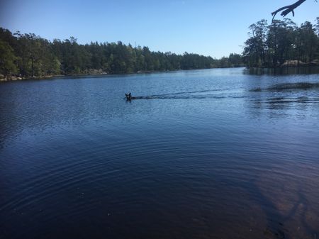 Bondvägen, Vendelsö - Photo 3
