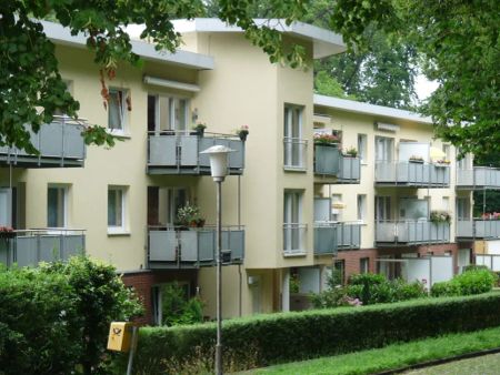 Frisch sanierte Seniorenwohnung: Zwei Zimmer in ruhigem Umfeld - Photo 3