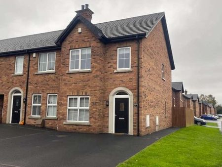 Bocombra Park, Portadown, BT63 - Photo 3