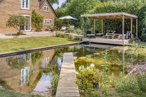 Ebbisham Lane - Photo 1
