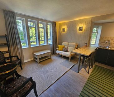 1 bedroom apartment to rent - Photo 2