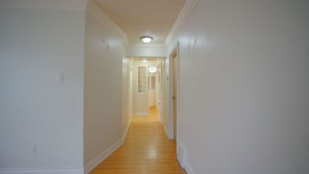For Lease - 41 Park Street Unit# Main, Toronto, Ontario - Photo 4