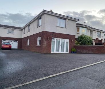 Annexe At 30 Whinfield, BT402LD, Larne - Photo 4